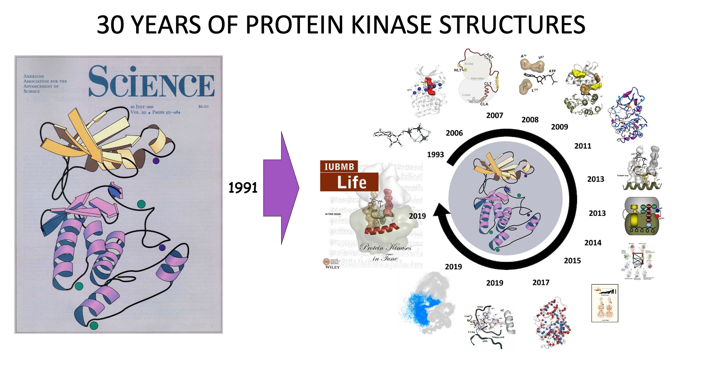 3 of 3, 30 Years of Protein Kinase Structures