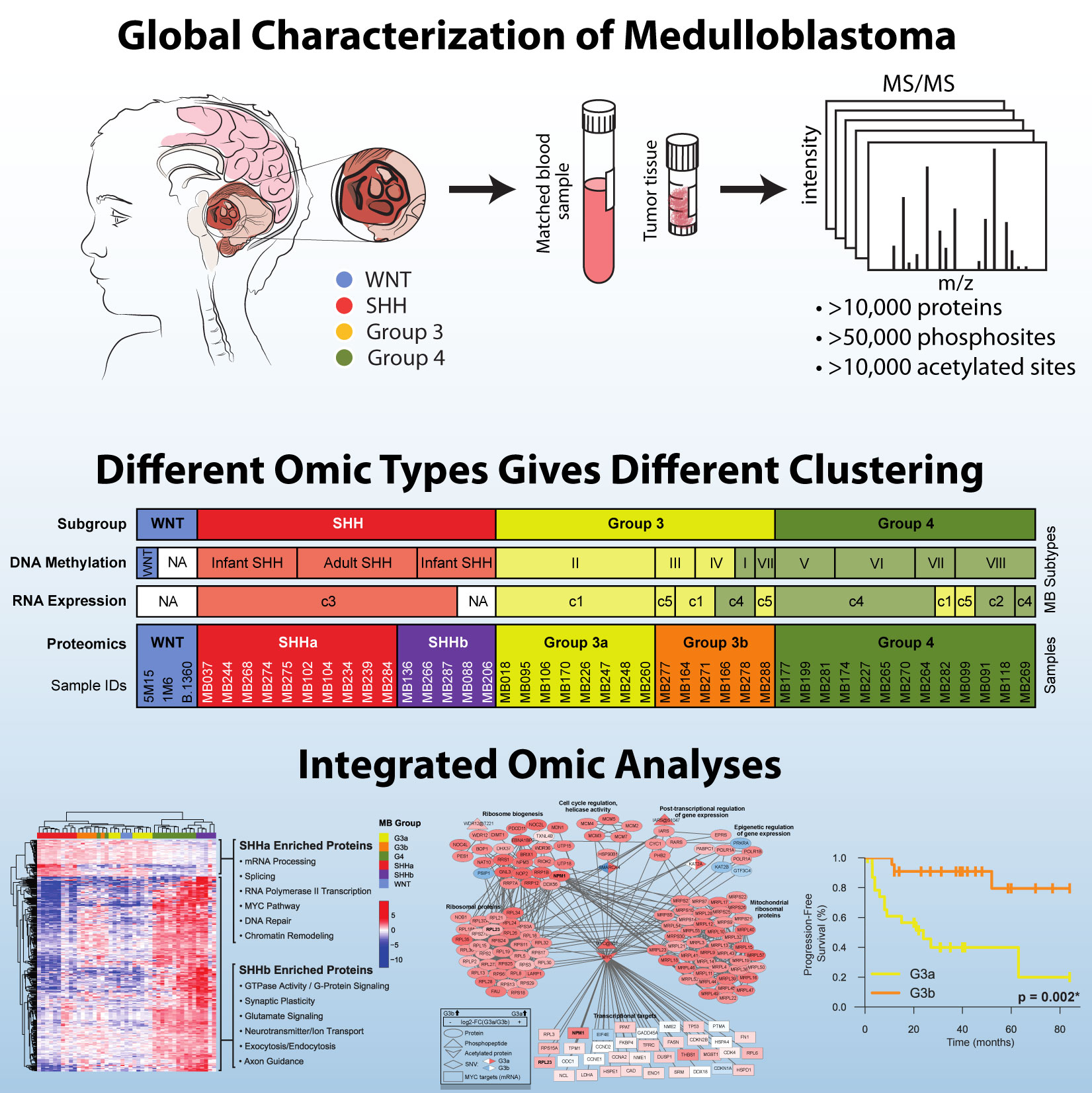 systems_Global-characterizataion-of-medulloblastoma-graphical-abstract.jpg